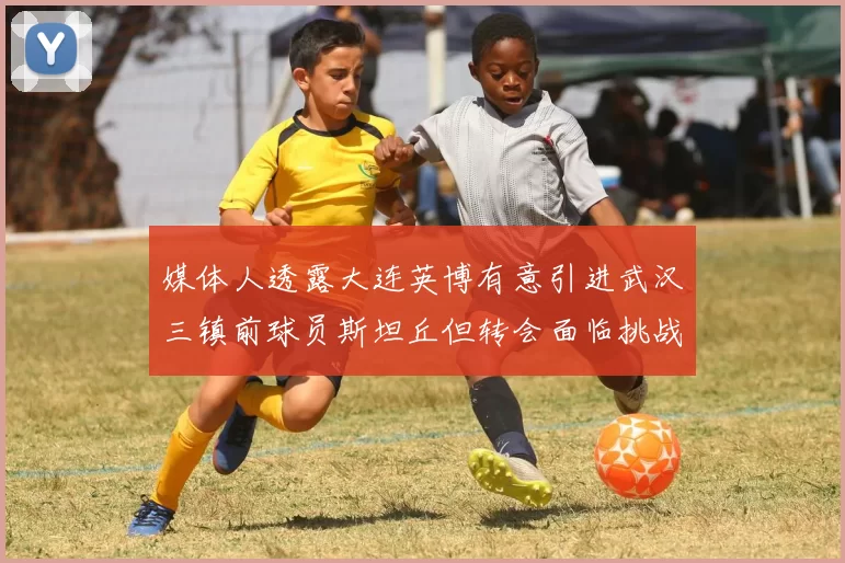 媒体人透露大连英博有意引进武汉三镇前球员斯坦丘但转会面临挑战